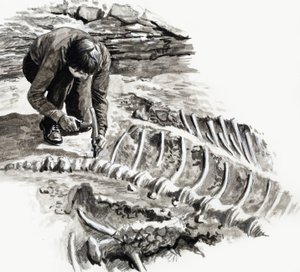 A dinoszauruszok napjaiban: Az óriások csatája alkotó: English School