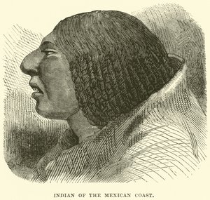 indián a mexikói parton alkotó: English School