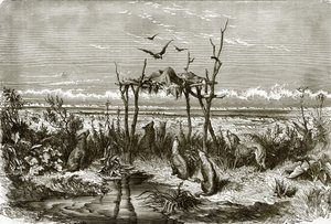 Indiai sír a hosszú füves prérin, a Saskatchewan folyón alkotó: English School