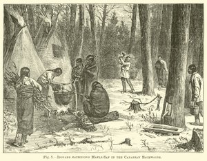 Az indiánok Maple-Sap-et gyűjtenek a kanadai backwoodsban alkotó: English School