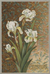 Írisz (chromolitho) alkotó: English School