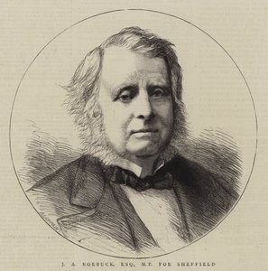 J A Roebuck, Esquire, Sheffield képviselője (metszet) alkotó: English School