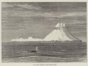 Jan Mayen-sziget, a sarkvidéki tengerekben (metszet) alkotó: English School