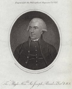 Joseph Banks alkotó: English School