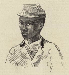 Kalulu alkotó: English School