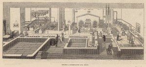 A Konzervatív Klubház konyhája alkotó: English School