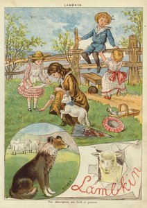 bárányhús (chromolitho) alkotó: English School