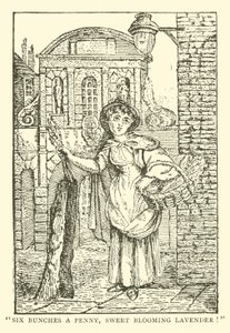Levendula árus (fametszet) alkotó: English School