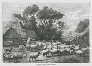 A juhok kivezetése (metszet) alkotó: English School