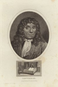 Leeuwenhoek alkotó: English School