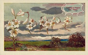 A liliom a virágok nyelvén békét jelent (színes litográfia). alkotó: English School