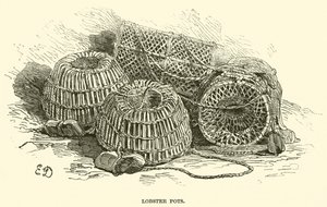 Homárcserepek (metszet) alkotó: English School