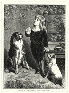 "Nézd ezt a buborékot, zöld és rózsaszín" (metszet) alkotó: English School