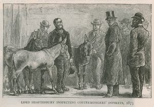Lord Shaftesbury a költségkereskedők szamarait vizsgálja alkotó: English School