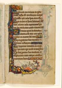MS 1-2005, fol. 22r: A majomdoktor és a medvebeteg, marginális díszítés a Macclesfield Zsoltárból, Sarum használata, East Anglia, 1330 körül alkotó: English School