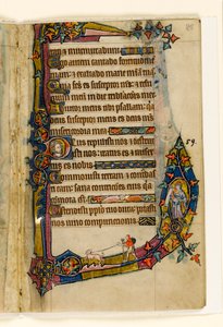 MS 1-2005, fol. 85r: Bűnbánó kutyával, szélső díszítés a Macclesfield Zsoltárból, Sarum használata, East Anglia, 1330 körül alkotó: English School