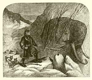 Mamut a jégben
