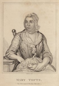 Mary Tofts, A tettetett nyúltenyésztő alkotó: English School