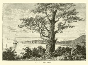 Matavai-öböl, Tahiti alkotó: English School