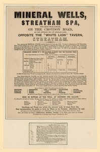 Mineral Wells vagy Streatham Spa alkotó: English School