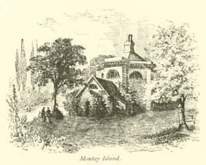 Majomsziget alkotó: English School
