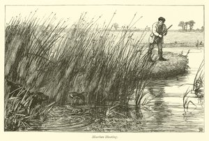 Moorhen lövöldözés alkotó: English School