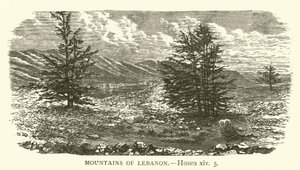 Libanon hegyei, Hósea, xiv, 5 (metszet) alkotó: English School