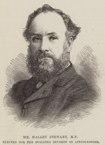 Halley Stewart képviselő, a Lincolnshire-i Spalding Division tagja (metszet) alkotó: English School