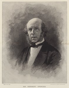 Mr Herbert Spencer (metszet) alkotó: English School