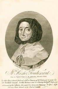 Mrs Hester Tradescant alkotó: English School