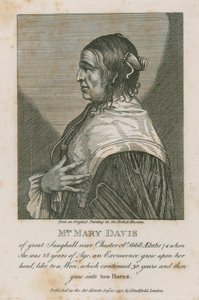 Mrs. Mary Davis a Chester melletti nagy Saughallból, 1668 alkotó: English School