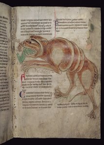 Ms.254 f.24 r Cocodrillus nyel egy embert alkotó: English School