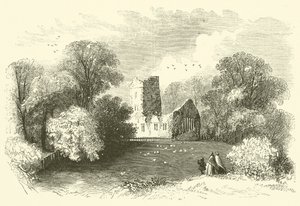 Mucruss Abbey (metszet) alkotó: English School