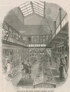 Múzeum a Királyi Botanikus Kertben, Kew-ben alkotó: English School