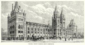 Természettudományi Múzeum, South Kensington (metszet) alkotó: English School