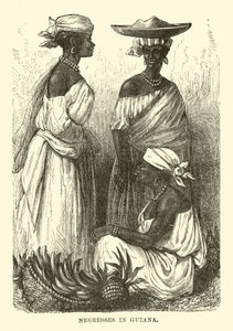 Negresses Guyanában (metszet) alkotó: English School