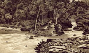 Észak-Devon: "The Watersmeet", Lynmouth (litográfia) alkotó: English School