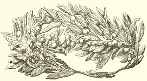 Arany olajbogyó koszorú alkotó: English School