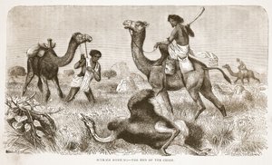 Struccvadászat – az üldözés vége, illusztráció a David Livingstone élete és felfedezései képi kiadásából, J. Ewing Richie, pub. A. Fullarton & Co., 1876 alkotó: English School