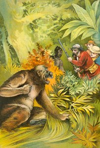 Az első gorillánk alkotó: English School
