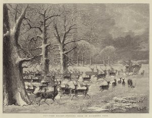 Kültéri dombormű, etető szarvas a Richmond Parkban (metszet) alkotó: English School
