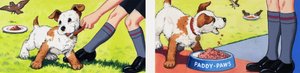 Paddy Paws alkotó: English School