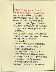Oldal az Amiatine Latin Bibliából alkotó: English School