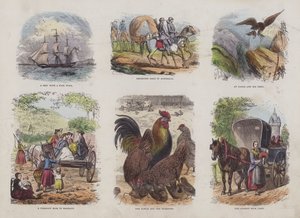 Oldal a Vonzó képeskönyvből (színes metszet) alkotó: English School