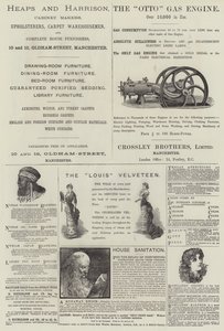 Hirdetések oldala (metszet) alkotó: English School