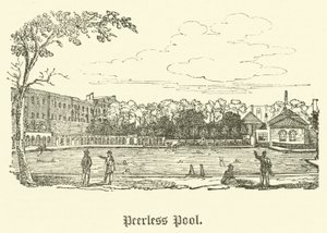 Páratlan medence (metszet) alkotó: English School