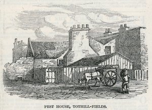 Pesti Ház, Tothill Fields alkotó: English School