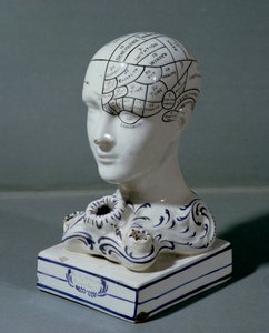 Frederick Bridges frenológiai vezetője (porcelán)