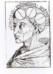 Frenológia (toll és tinta papíron) alkotó: English School
