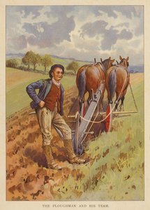 Ploughman és csapata (színes litográfia) alkotó: English School